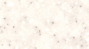 6480.jpg 6480.jpg