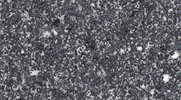 7919.jpg 7919.jpg